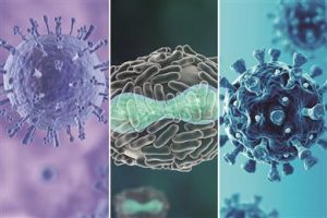 Devan montre une forte activité de BI-OME contre le SARS-COV-2 et d'autres virus après un lavage intense