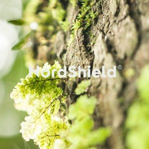 NordShield introduit une technologie anti-microbienne respectueuse de l'environnement pour les fibres