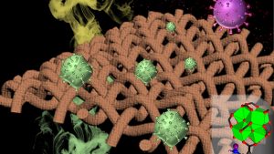 Le tissu polyvalent est efficace contre le virus qui cause le COVID-19